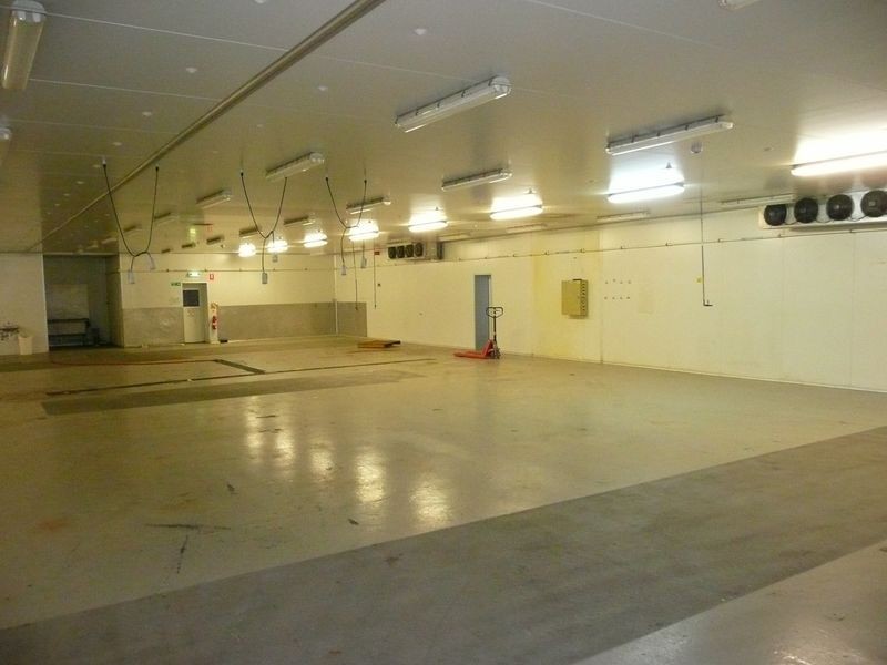 6 Jervois Street, Albert Park SA 5014