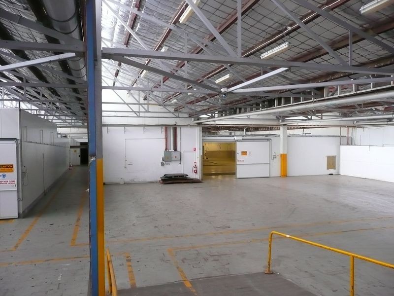 6 Jervois Street, Albert Park SA 5014