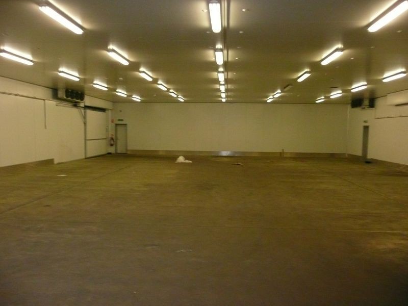 6 Jervois Street, Albert Park SA 5014