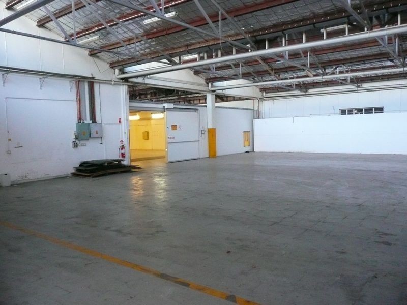 6 Jervois Street, Albert Park SA 5014