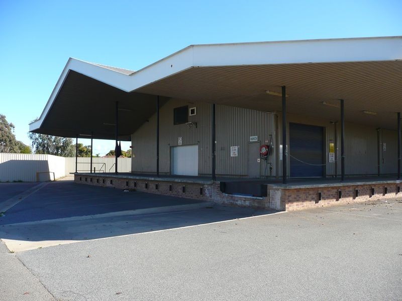 6 Jervois Street, Albert Park SA 5014