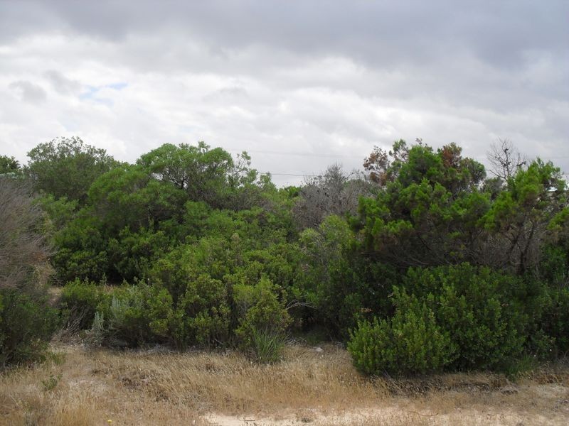 121 Esplanade, Thompson Beach SA 5501