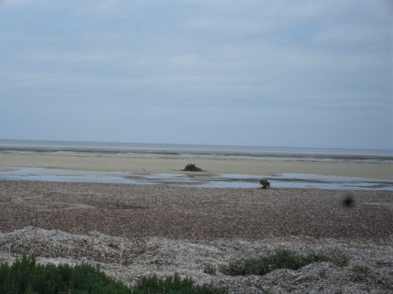 121 Esplanade, Thompson Beach SA 5501