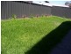 49B Bagot Avenue, Mile End SA 5031