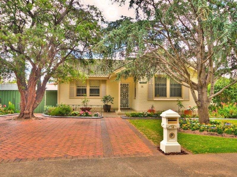 14 Belgrave Avenue, Flinders Park SA 5025