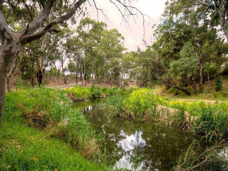 14 Belgrave Avenue, Flinders Park SA 5025