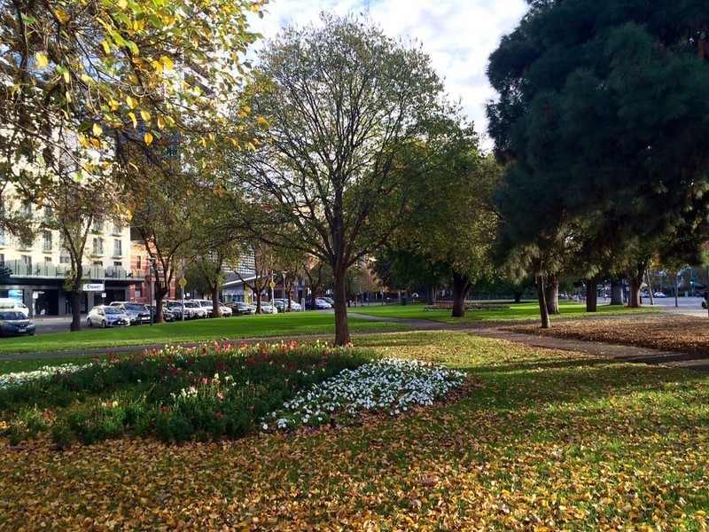 Apartment 816/55 Mantra Hindmarsh Square, Adelaide SA 5000