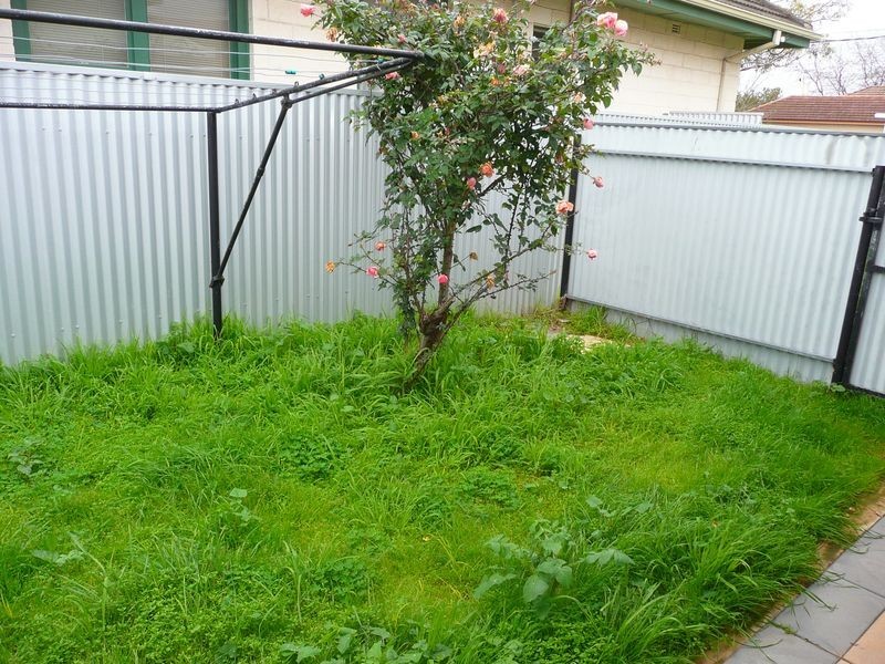 40 Kingborn Avenue, Seaton SA 5023