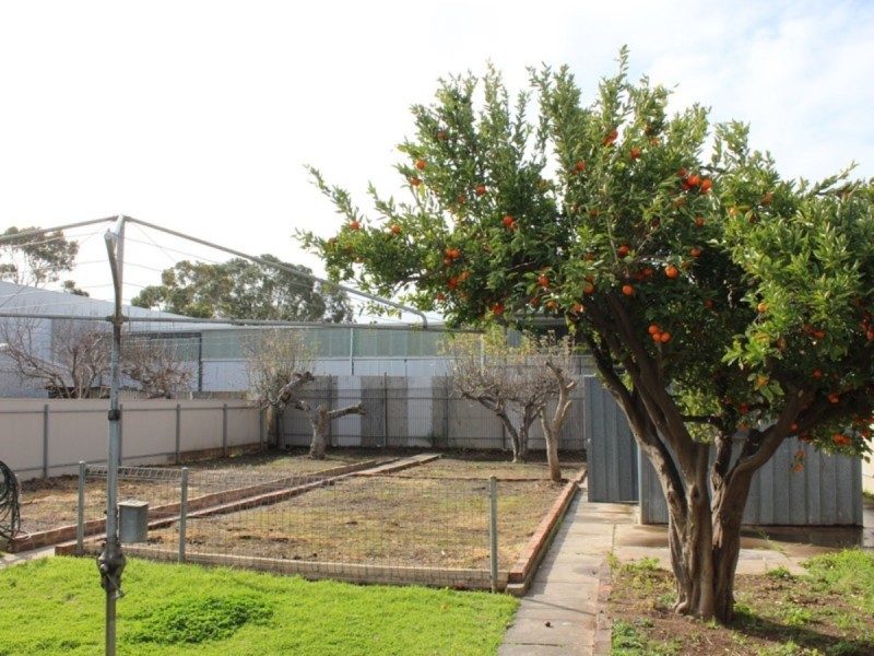 18 Alice Street, Findon SA 5023