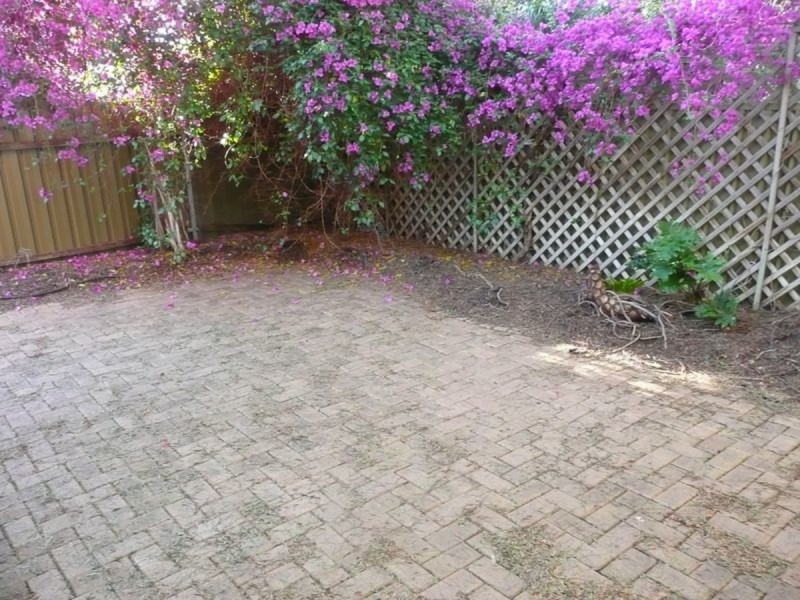 4/123 North East Road, Collinswood SA 5081