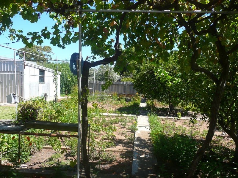 91 West Street, Torrensville SA 5031