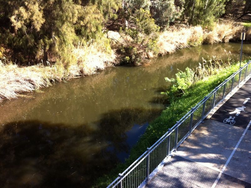 15 Dartmoor St, Lockleys SA 5032