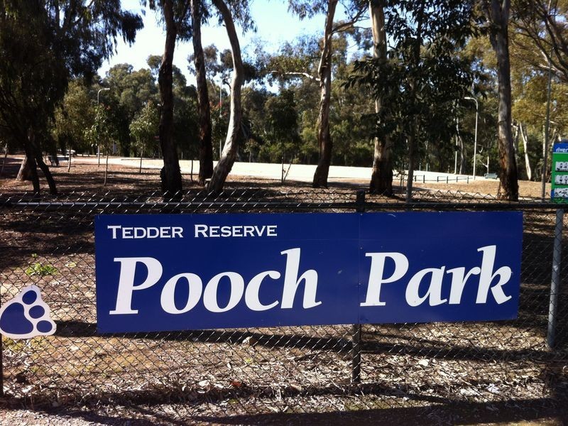 15 Dartmoor St, Lockleys SA 5032