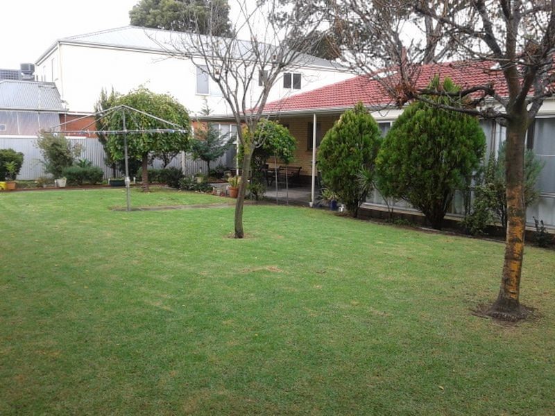 15 Dartmoor St, Lockleys SA 5032