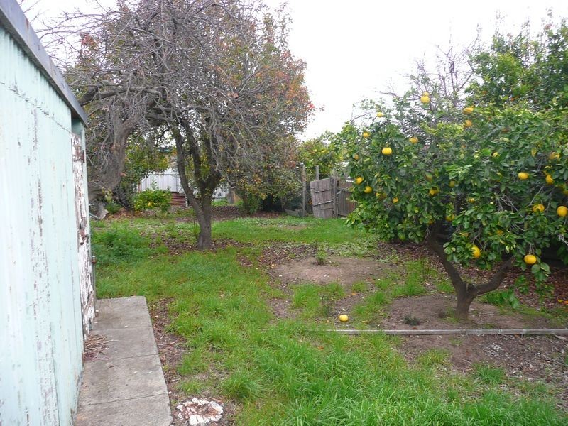 16 Cooke Crescent, Royal Park SA 5014