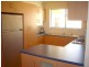 22 Patrick St, Athelstone SA 5076