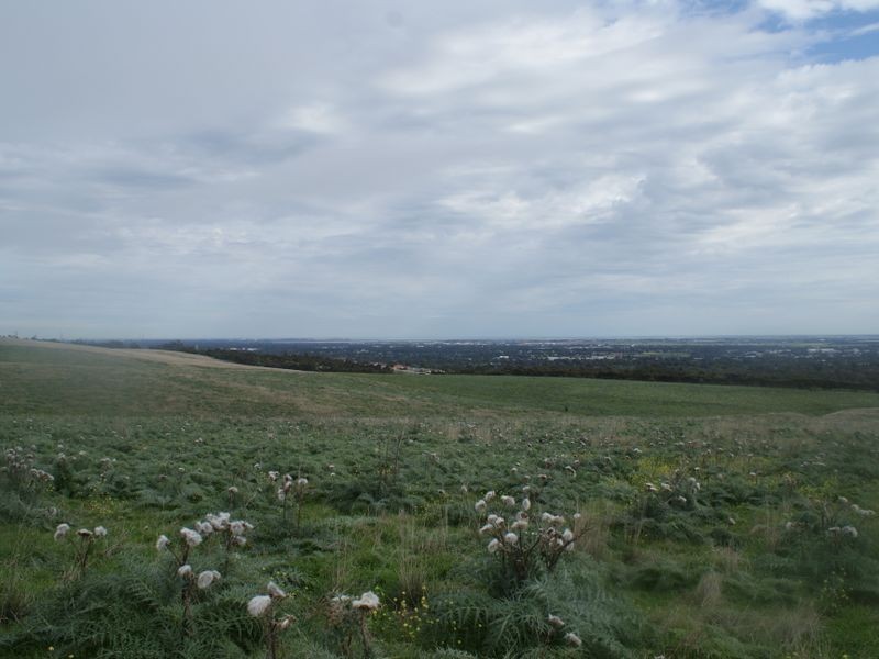 Whitford Rd, Hillbank SA 5112