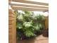 21 Rogana Crescent, Hallett Cove SA 5158