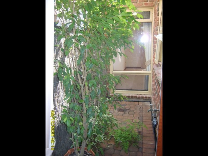 5/74 Martin Court, West Lakes SA 5021