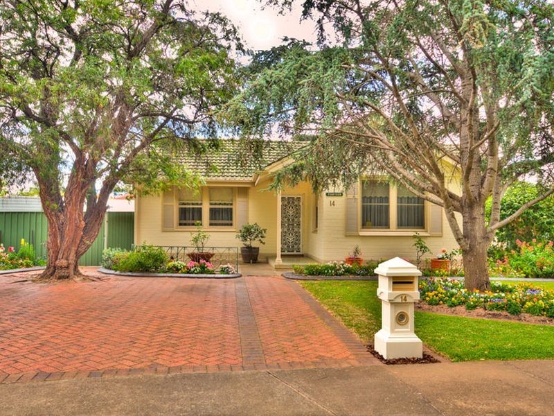 14 Belgrave Ave, Flinders Park SA 5025