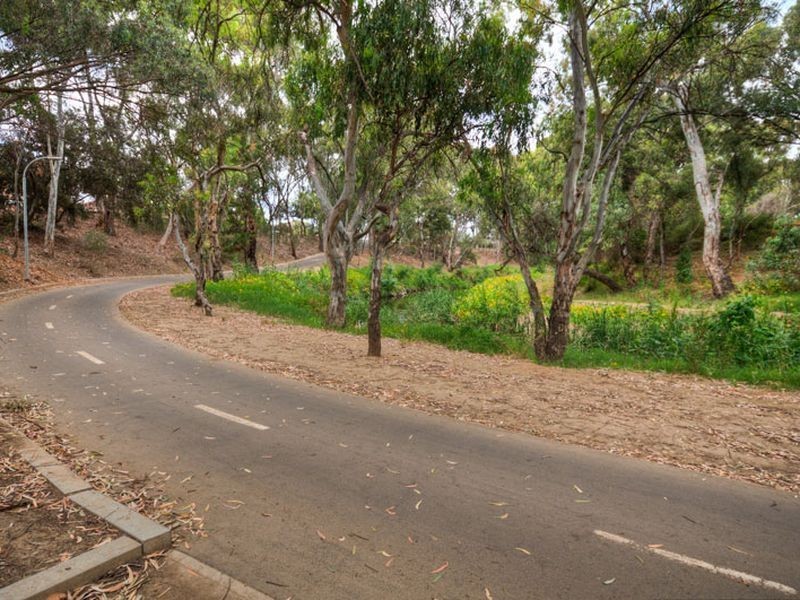 14 Belgrave Ave, Flinders Park SA 5025