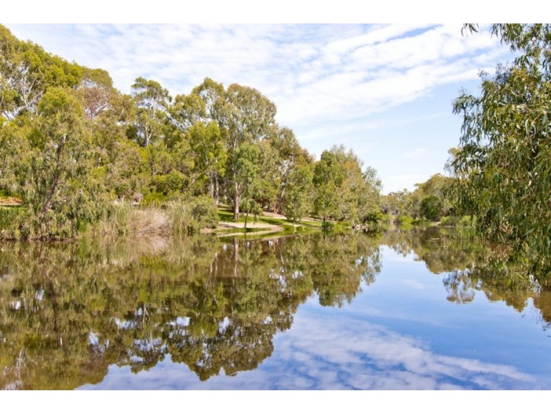 57 Main Street, Lockleys SA 5032