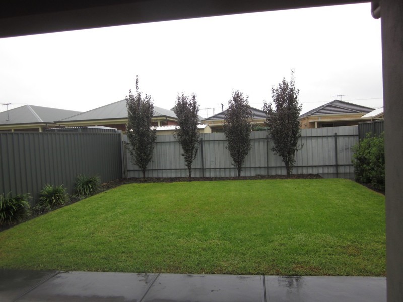 65 Balcombe Avenue, Seaton SA 5023