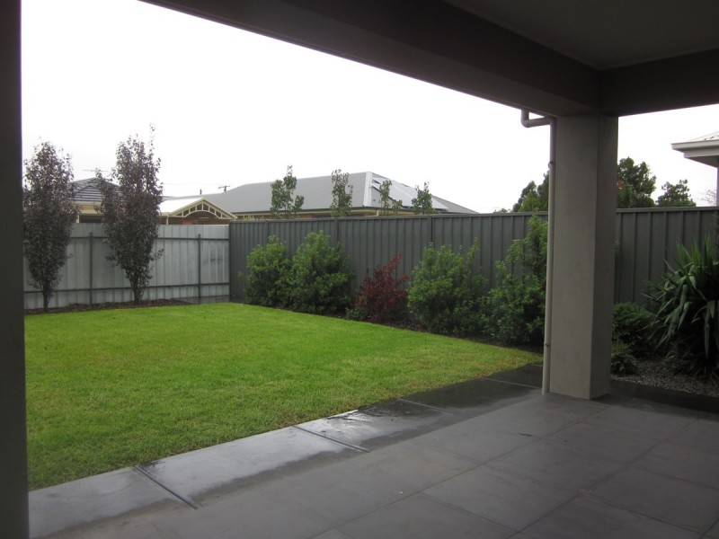 65 Balcombe Avenue, Seaton SA 5023