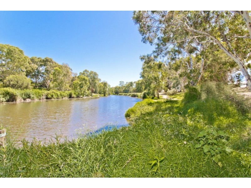 4/20 Cross Street, Lockleys SA 5032