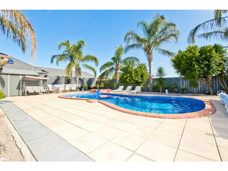 28 Cross Street, Lockleys SA 5032