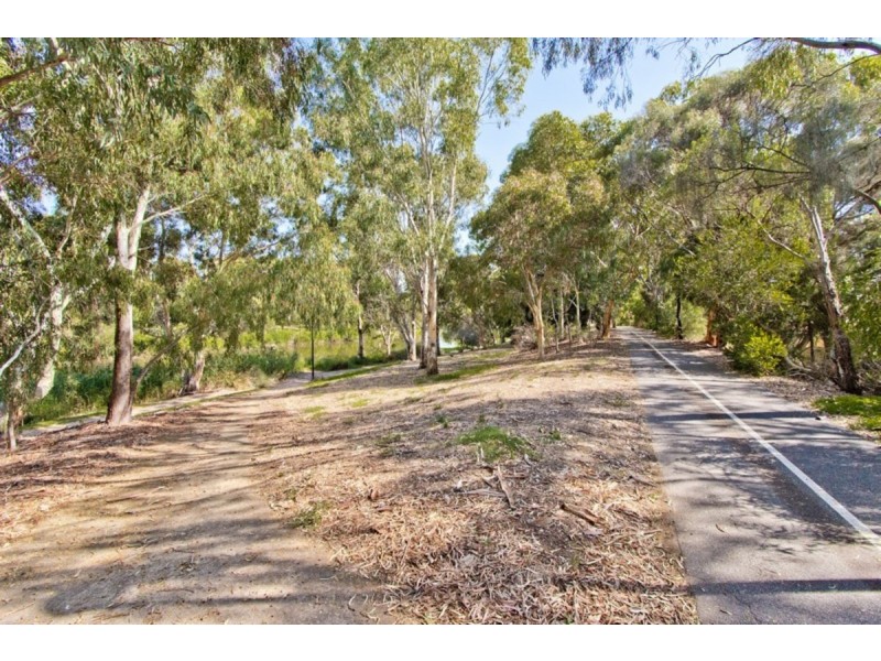 28 Cross Street, Lockleys SA 5032