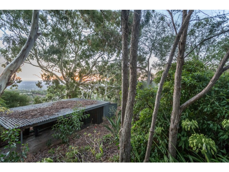 20 Ridgeland Drive, Teringie SA 5072