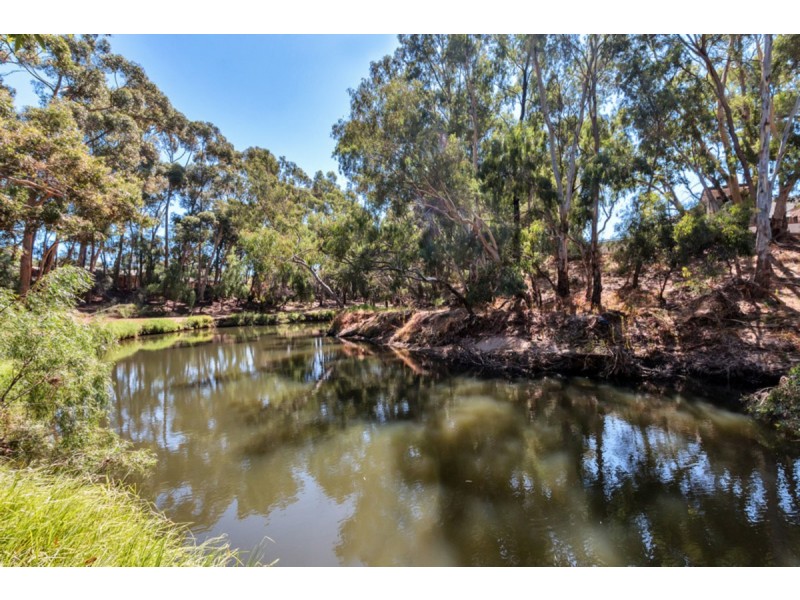 41 Garden Terrace, Lockleys SA 5032