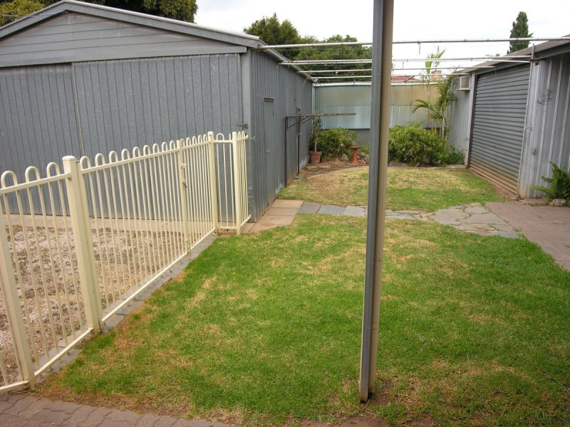 20 White Avenue, Lockleys SA 5032