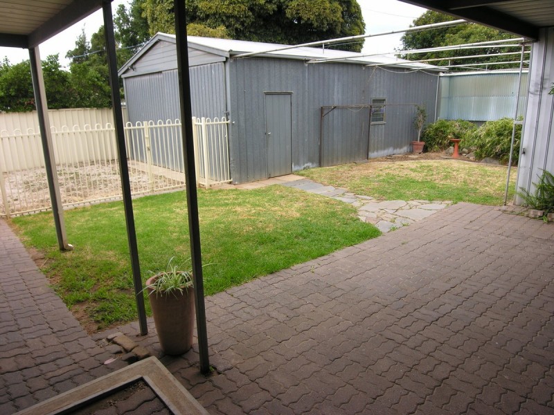 20 White Avenue, Lockleys SA 5032