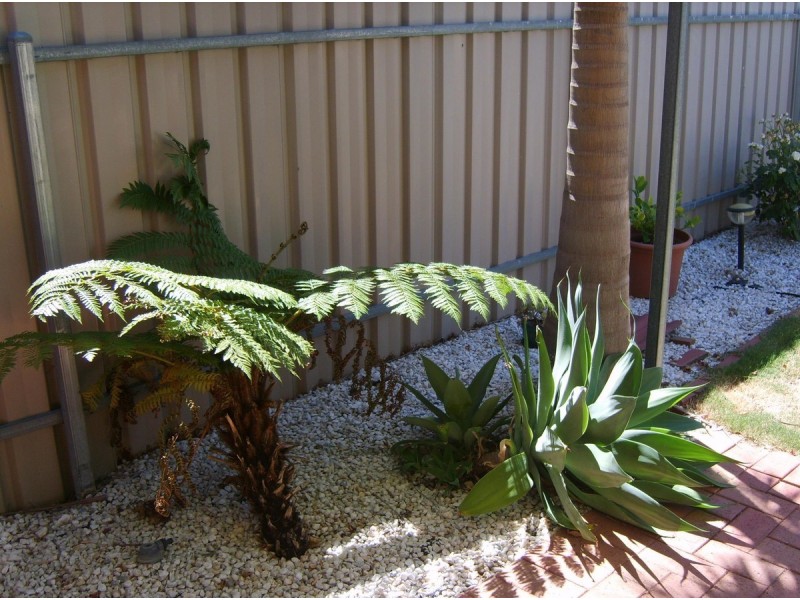 9 Playford Road, Newton SA 5074