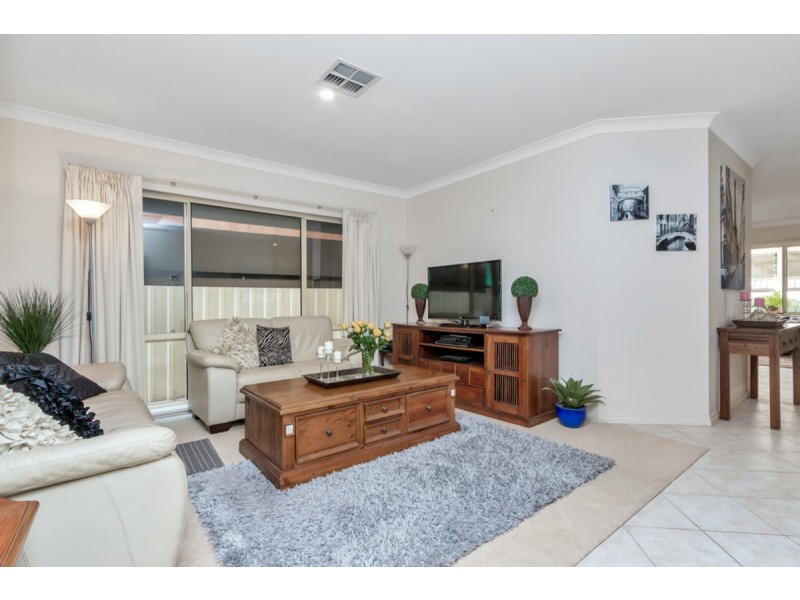 49A Clyde Avenue, Lockleys SA 5032