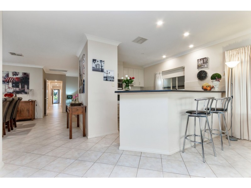 49A Clyde Avenue, Lockleys SA 5032