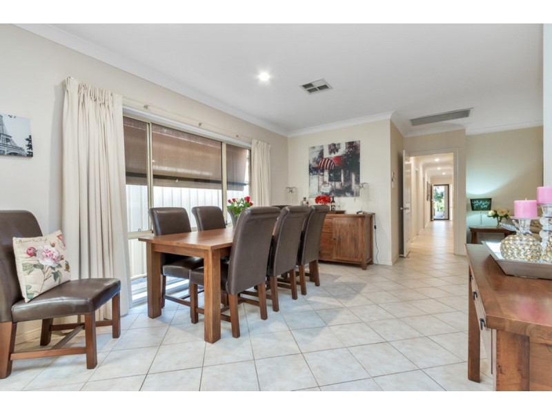 49A Clyde Avenue, Lockleys SA 5032