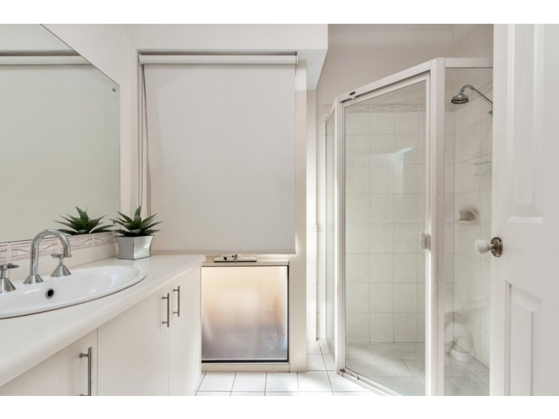 49A Clyde Avenue, Lockleys SA 5032