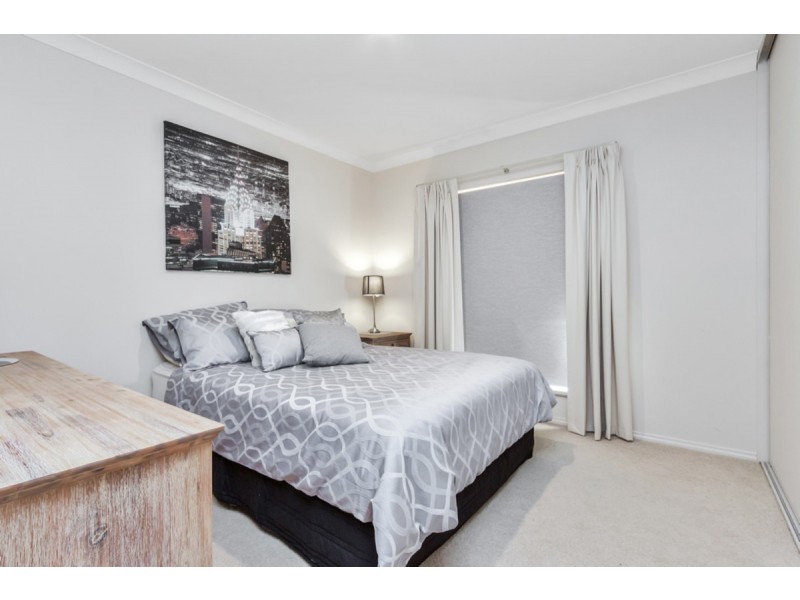 49A Clyde Avenue, Lockleys SA 5032