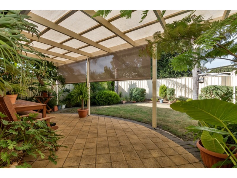 49A Clyde Avenue, Lockleys SA 5032