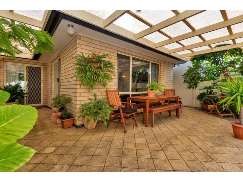 49A Clyde Avenue, Lockleys SA 5032