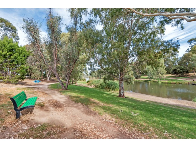 49A Clyde Avenue, Lockleys SA 5032