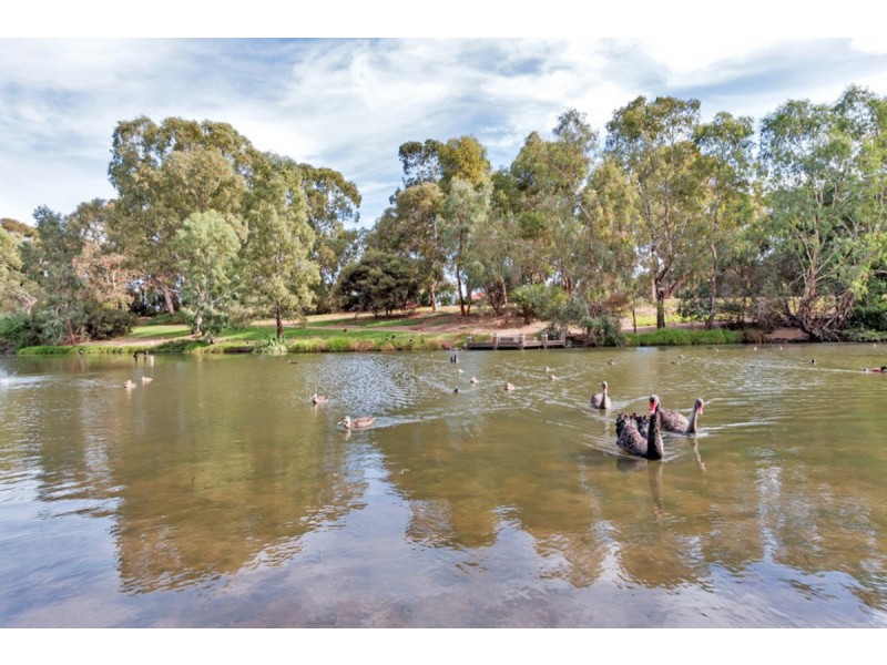 49A Clyde Avenue, Lockleys SA 5032