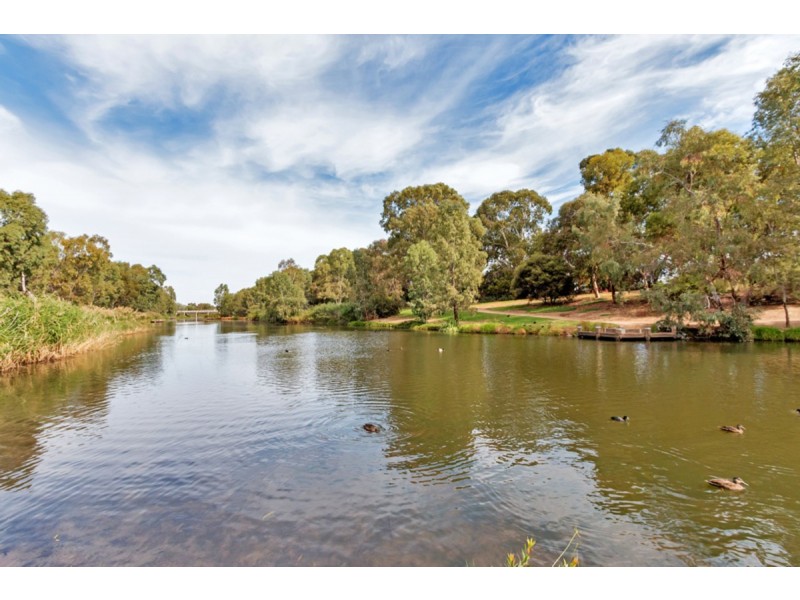 49A Clyde Avenue, Lockleys SA 5032