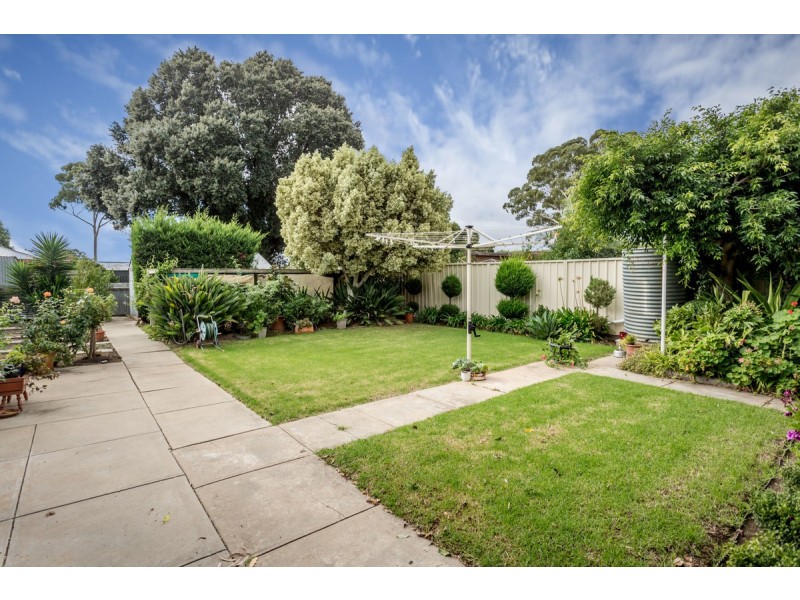 8 Kellett Avenue, Lockleys SA 5032