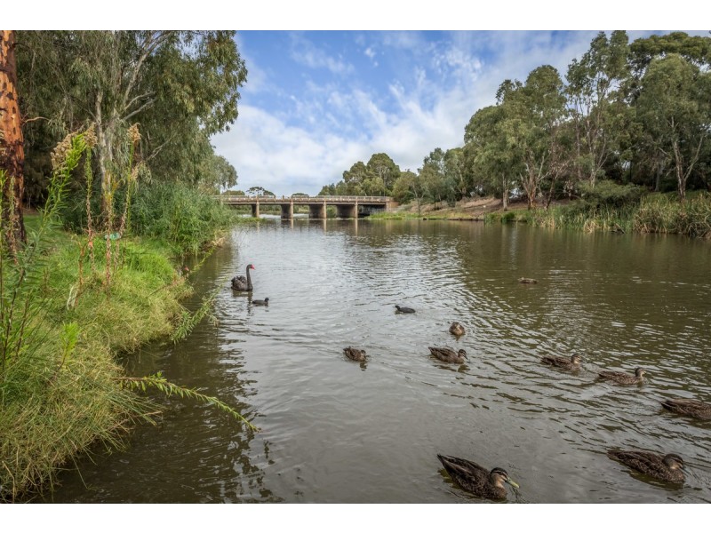 8 Kellett Avenue, Lockleys SA 5032