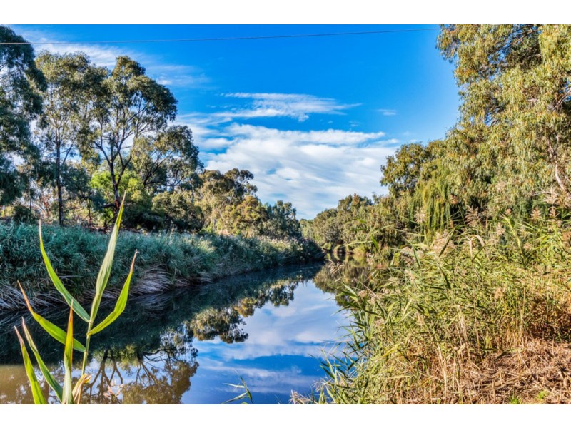 6 Oliver Avenue, Fulham Gardens SA 5024