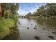 8 Kellett Avenue, Lockleys SA 5032